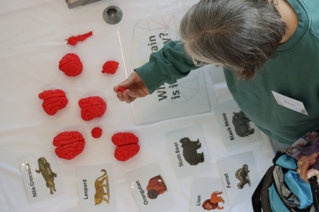 Birds-eye photo of someone playing the 'Whose Brain Is It Anyway' game